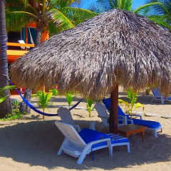 Отель Bungalows Tree Tops 5* Люкс с различными типами кроватей фото 17