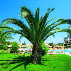 Febeach Hotel Турция, Сиде - отзывы, цены и фото номеров - забронировать отель Febeach Hotel - All Inclusive онлайн