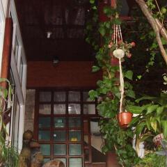Apartments Pod Lozom in Petrovac, Montenegro from 80$, photos, reviews - zenhotels.com photo 3