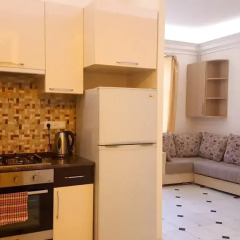 Апартаменты Rent in Yerevan - Apartments on Sakharov Square Апартаменты разные типы кроватей фото 22