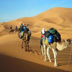 Отель Morocco Desert Trek Марокко, Мерзуга - отзывы, цены и фото номеров - забронировать отель Morocco Desert Trek онлайн спортивное сооружение
