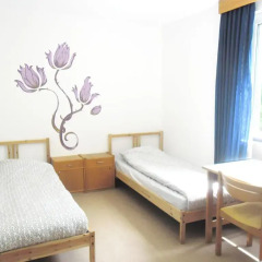 Hostel Marmota Стандартный номер с 2 отдельными кроватями фото 3