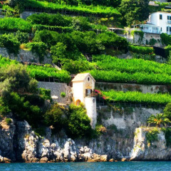 Отель Maison Mediterranea Пимонт