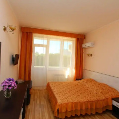 Гостиничный Комплекс Русич 2* Номер Комфорт с разными типами кроватей фото 4