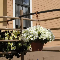 Отель Knights Court Guest House