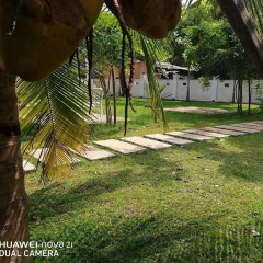 Отель Rajarata Lodge фото 5