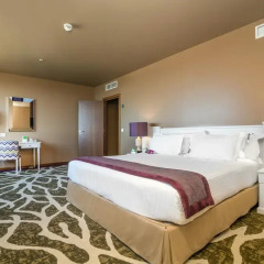 Отель Holiday Inn Porto Gaia 4* Стандартный номер с различными типами кроватей