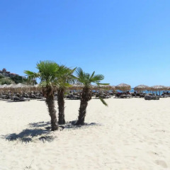 Отель Holiday Apartment in Riviera Complex Болгария, Свети Влас - отзывы, цены и фото номеров - забронировать отель Holiday Apartment in Riviera Complex онлайн пляж