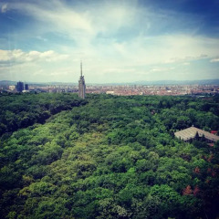 Park- Hotel Moskva 3* Люкс с разными типами кроватей фото 17