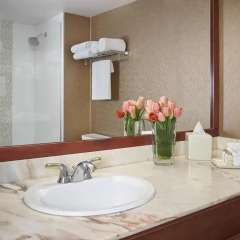 Varscona Hotel on Whyte 3* Стандартный номер с различными типами кроватей фото 2
