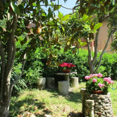Отель B&B Carboni Италия, Трайа - отзывы, цены и фото номеров - забронировать отель B&B Carboni онлайн
