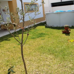 Отель Alentejo's Nest парковка