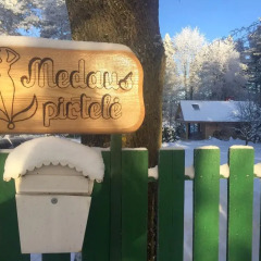 Отель Medaus pirtelė Литва, Тракай - отзывы, цены и фото номеров - забронировать отель Medaus pirtelė онлайн приотельная территория