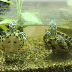 Отель Porzellaneum фото 3