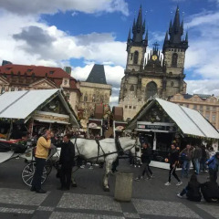 Отель Oldtown Square Cape Чехия, Прага - отзывы, цены и фото номеров - забронировать отель Oldtown Square Cape онлайн фото 4