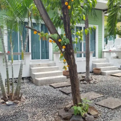 Отель Charlie's Bungalow Таиланд, Ко Сичанг - отзывы, цены и фото номеров - забронировать отель Charlie's Bungalow онлайн фото 4