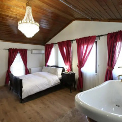 Tepebasi Konaklari 4* Люкс с различными типами кроватей фото 8