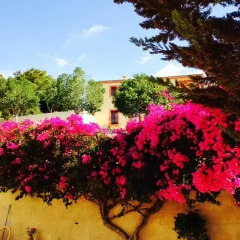 Отель Casa Perla Relleu фото 4