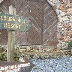 Отель Colibri Hill Resort Гондурас, Остров Утила - отзывы, цены и фото номеров - забронировать отель Colibri Hill Resort онлайн помещение для мероприятий
