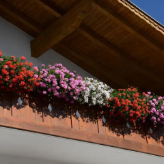 Отель Garni Appartements Almrausch Горнолыжный курорт Ортлер питание