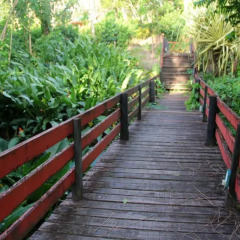Отель Maravu Taveuni Lodge 2* Кровать в общем номере с двухъярусной кроватью фото 3
