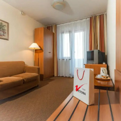 Гостиница Виктория 4* Номер Эконом с разными типами кроватей фото 4