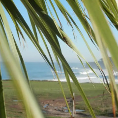 H.A.N.D Surf Hostel пляж