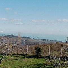 Отель Belle Marche Чивитанова-Марке пляж