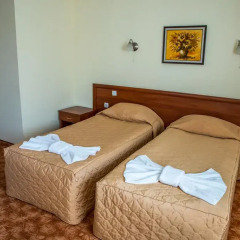 Bariakov Hotel 3* Стандартный семейный номер с двуспальной кроватью фото 11