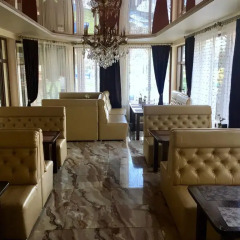 Гостиница Villa Vlad развлечения