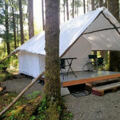 Huckleberry Lodge Cabins In Forks United States Of America From