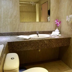 Orchid Hotel 3* Стандартный номер с различными типами кроватей фото 5