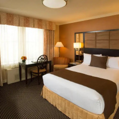 Excelsior Hotel 3* Стандартный номер с различными типами кроватей