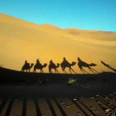 Отель Merzouga Riad and Bivouac Excursion Марокко, Мерзуга - отзывы, цены и фото номеров - забронировать отель Merzouga Riad and Bivouac Excursion онлайн пляж фото 2