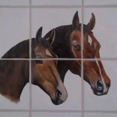 Отель Stal Zwartschaap с домашними животными