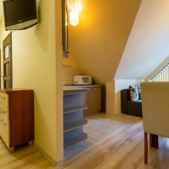 Отель Apartament Róża Pustyni Закопане удобства в номере