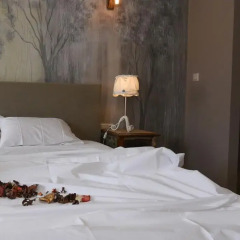 Отель Andronis Athens Греция, Афины - 1 отзыв об отеле, цены и фото номеров - забронировать отель Andronis Athens онлайн комната для гостей фото 5