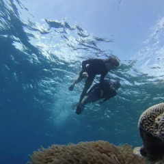 Отель Reveries Diving Village, Maldives спортивное сооружение