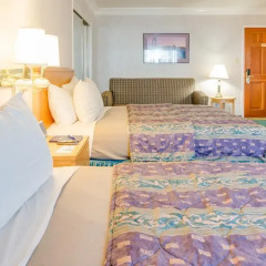Отель Nob Hill Motor Inn 2* Полулюкс с различными типами кроватей