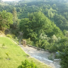 Отель Quinta Encosta Do Marao Амаранте приотельная территория