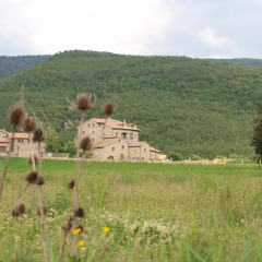 Отель Casas Rurales Pirineo фото 3