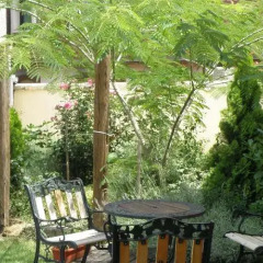 Отель Vila Portokalo Сербия, Белград - отзывы, цены и фото номеров - забронировать отель Vila Portokalo онлайн питание
