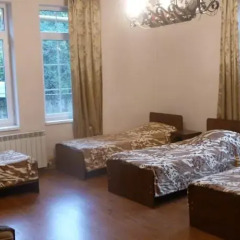 Гостиница Малое средство размещения Гостевые комнаты "Родничок" в Сочи отзывы, цены и фото номеров - забронировать гостиницу Малое средство размещения Гостевые комнаты "Родничок" онлайн комната для гостей фото 10
