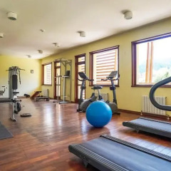 Отель Borika Hotel Болгария, Чепеларе - отзывы, цены и фото номеров - забронировать отель Borika Hotel онлайн фитнесс-зал фото 3