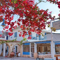 Отель Saronis Hotel Греция, Агистри - отзывы, цены и фото номеров - забронировать отель Saronis Hotel онлайн фото 2