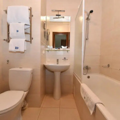 Hotel Dnipro 4* Номер Эконом с разными типами кроватей фото 3