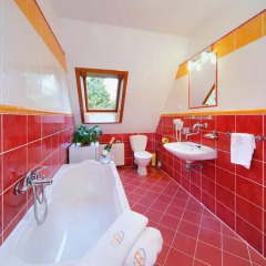Hotel Bedriška Wellness Resort & Spa 4* Апартаменты с различными типами кроватей фото 11