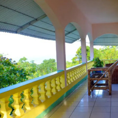 Отель Ackee Tree Sea View Villa балкон