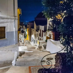Отель Casa del Cigroner Xativa фото 4