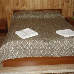 Гостиница Diana Guest House Улучшенный номер разные типы кроватей фото 8